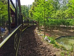 -合肥滨湖国家森林公园