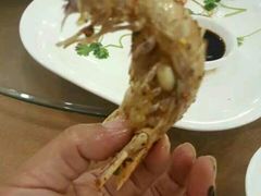 -顺峰渔港中国人的餐厅