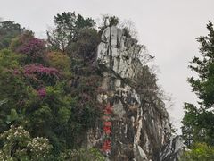 -星湖旅游景区七星岩