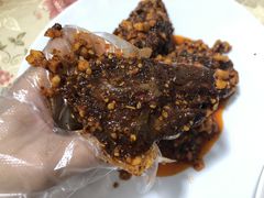 -邓氏兔头