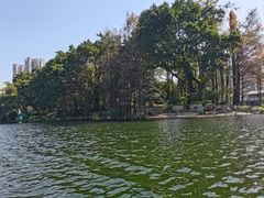 -荔湾湖公园