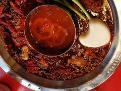 谭血鸭红锅底-谭鸭血老火锅(漳州路店)