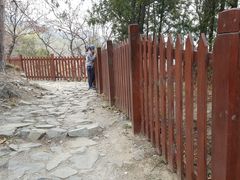 -北京鹫峰国家森林公园