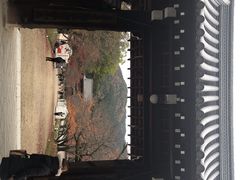 -醍醐寺