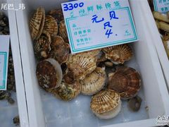 元贝-海岛渔村大酒店(云霄路店)