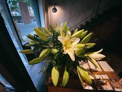 -Apollo·西班牙小酒馆(安福路店)