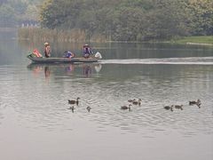 -南宁南湖公园