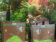 -深圳仙湖植物园