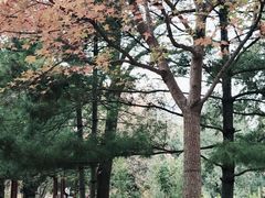 -香山公园-东宫门售票处