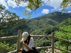 -牛背梁国家森林公园