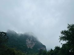 -明仕田园