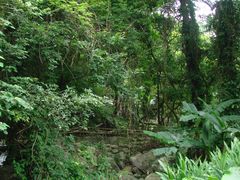 绿树遍野-灵光寺