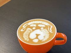 -SAFARI COFFEE