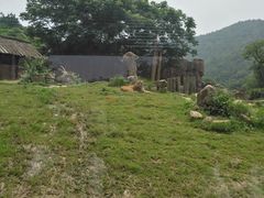 -无锡动物园·太湖欢乐园