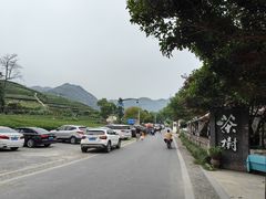 -龙坞茶村