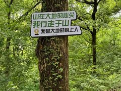 -平湖九龙山旅游度假区