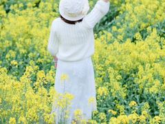 -桑洲油菜花景区