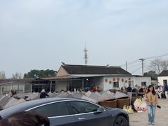 -苏州市吴中区光福窑上花果蜜饯厂