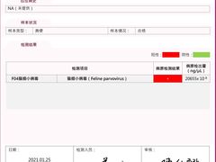 -纳吉亚猫专科动物医院·北北分院