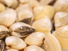 -御膳粥·牛乳粥底火锅·地道顺德菜(容桂店)
