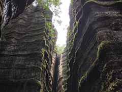 -梭布垭石林景区