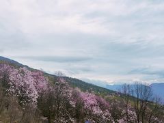 -九皇山景区
