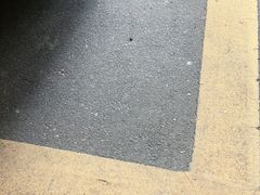 -养牛邓·潮汕牛肉海鲜自助火锅(广州店)
