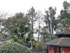 -明月山天沐温泉度假村