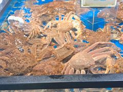 -盒马鲜生(馥邦国际店)