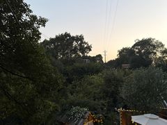 -南山植物园
