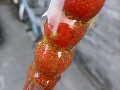 -和禄德冰糖葫芦