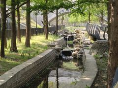 -白水寺森林公园
