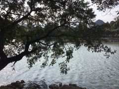 -桂林两江四湖景区