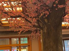 -鸥迪足道(安庆店)
