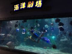 -南昌海洋公园