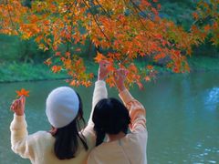 -田野绿世界