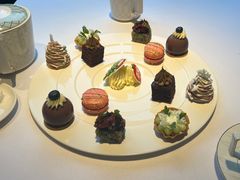 -蝶舍·MAISON PAPILLON