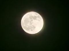 -保定金棕榈先天下国际影城(LUXE)