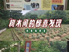 -妙峰山风景名胜区