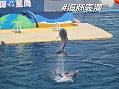 -秦皇岛乐岛海洋王国