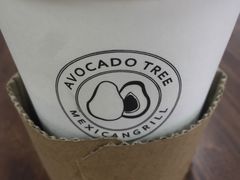 -油梨树 AVOCADO TREE(亮马桥店)