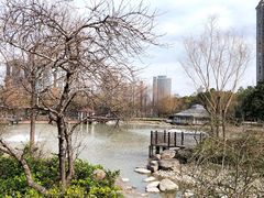 -新虹桥中心花园