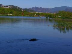 -永定河休闲森林公园