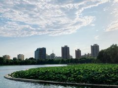 -莲花池公园