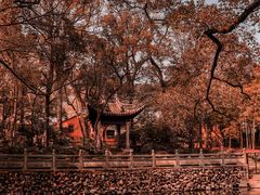 -阿育王寺