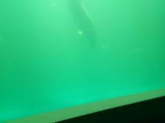 -石林冰雪海洋世界