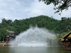 -西双版纳原始森林公园