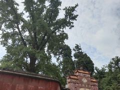 -金堂县云顶石城风景区