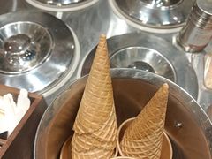 -野人先生现做冰淇淋(北京环宇荟店)