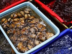 -南蚝小贝海鲜特色餐厅(南澳岛店)